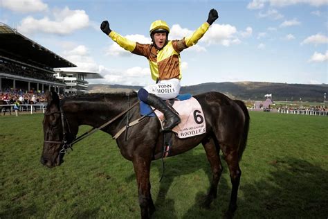 cheltenham gold cup 2024 betting